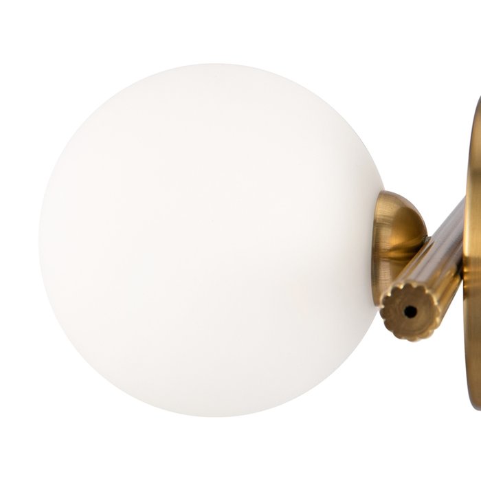 Настенный светильник (бра) Freya FR5259WL-01BS Blossom Modern - купить Бра и настенные светильники по цене 4590.0