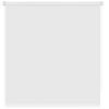 Рулонная штора Миниролл Апилера белого цвета 40x160 - лучшие Шторы в INMYROOM