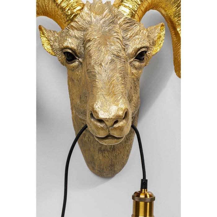 Бра Ram Head золотого цвета - лучшие Бра и настенные светильники в INMYROOM