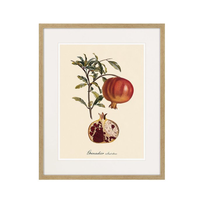 Копия старинной литографии Juicy fruit lithography №7 1870 г. - купить Картины по цене 3995.0