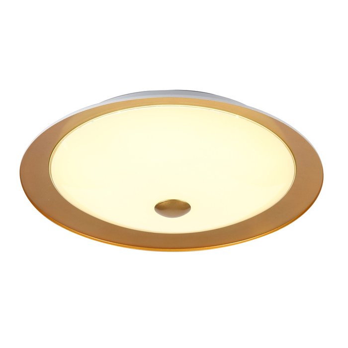 Потолочный светильник Maytoni "Euler" - купить Потолочные светильники по цене 7710.0