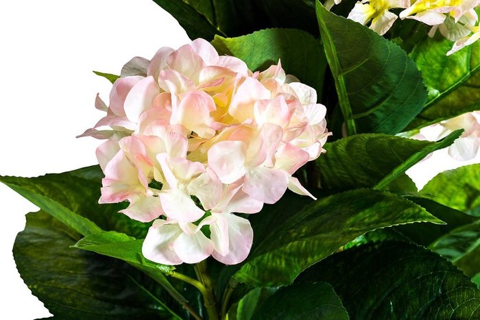 Искусственный цветок Гортензия бело-розовая в горшке  - купить Декоративные цветы по цене 7560.0
