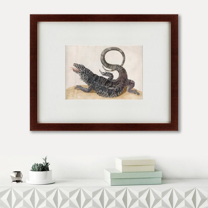Картина Black Tegu Lizard 1700 г.
