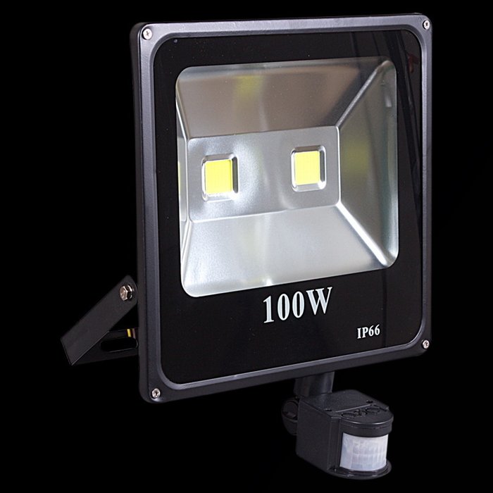 Прожектор 54100-0.2-001QY LED100W+SENSOR BK (стекло, цвет прозрачный) Прожектор 54100-0.2-001QY LED100W+SENSOR BK (стекло, цвет прозрачный)