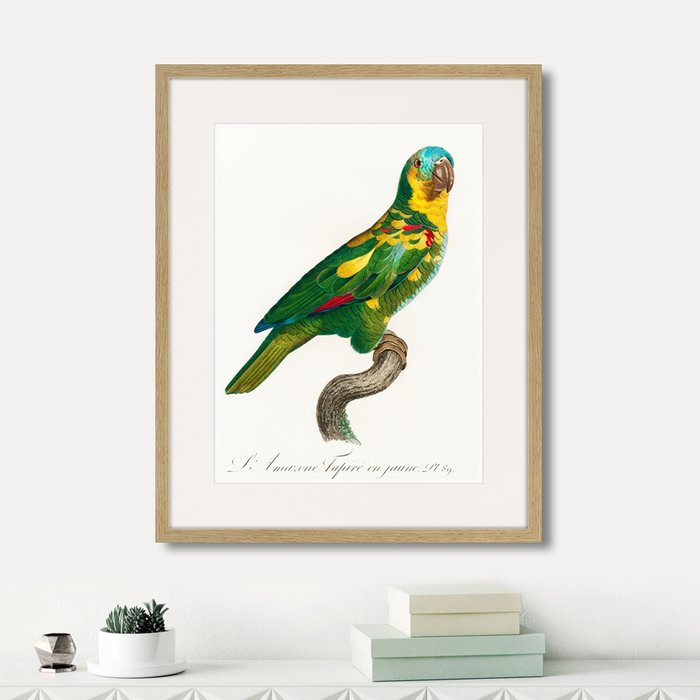 Набор из двух картин Beautiful parrots №4  - купить Картины по цене 7990.0