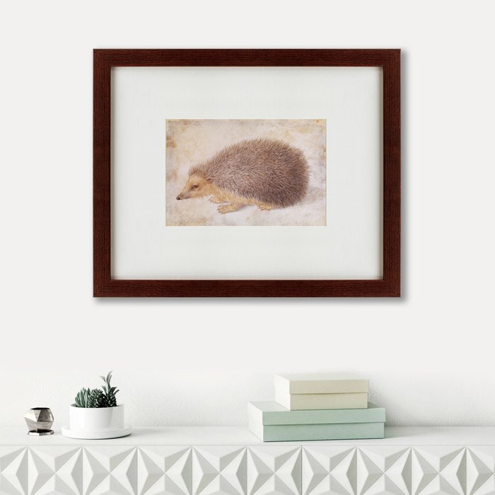 Картина A Hedgehog 1584 г. 