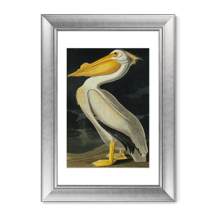 Картина Американский белый пеликан 1825 г. - купить Картины по цене 12499.0