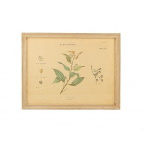 Панно "Botany"  