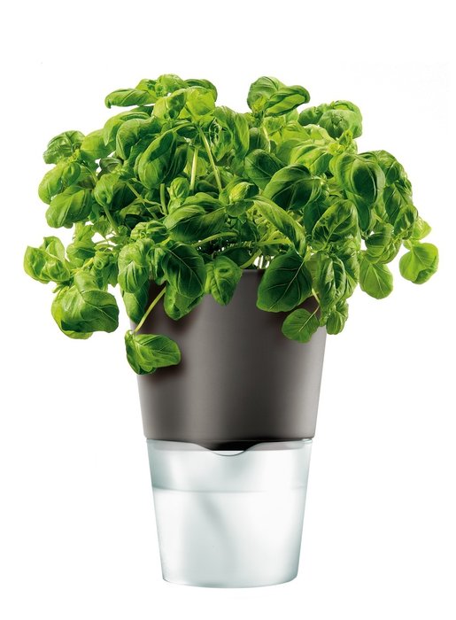 Горшок для растений с естественным поливом Eva Solo herb pot темно-серый
