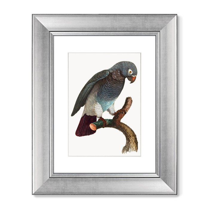 Набор из двух репродукций картин Beautiful parrots №2 1872 г. - купить Картины по цене 16398.0