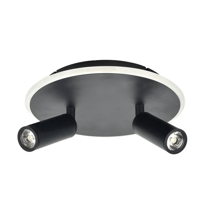 Настенно-потолочный свет Escada 20046SMA/02 LED 28W 4000K черный 20046LED - купить Потолочные светильники по цене 4990.0