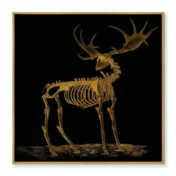 Репродукция картины на холсте The Deer bone structures, 1820г. - купить Картины по цене 29999.0