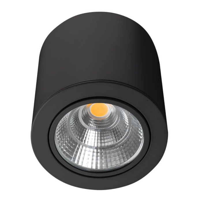 Потолочный светильник SP-FOCUS 029538 (металл, цвет черный)