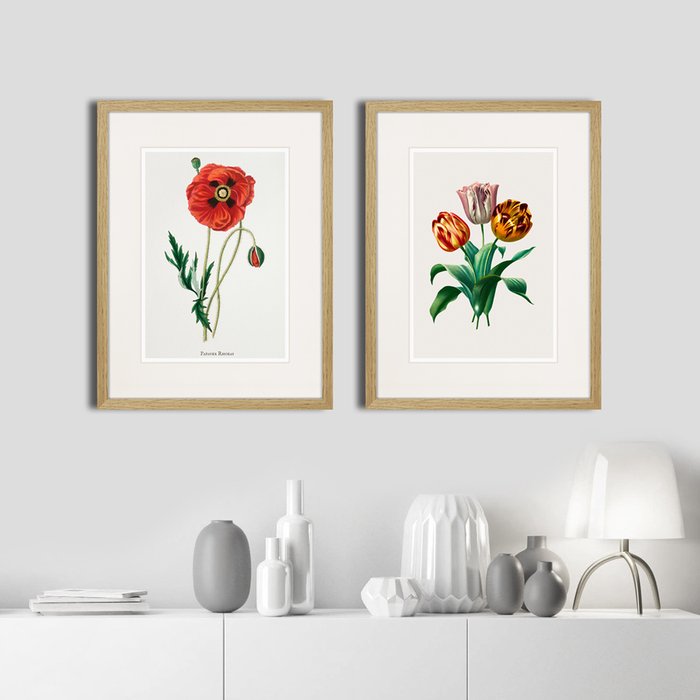 Копия старинной литографии Botany illustration №15 1836 г. - лучшие Картины в INMYROOM Копия старинной литографии Botany illustration №15 1836 г. - лучшие Картины в INMYROOM