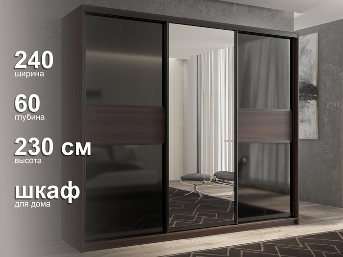 Шкаф-купе Кааппи-9 240 цвета Венге  - лучшие Шкафы-купе в INMYROOM