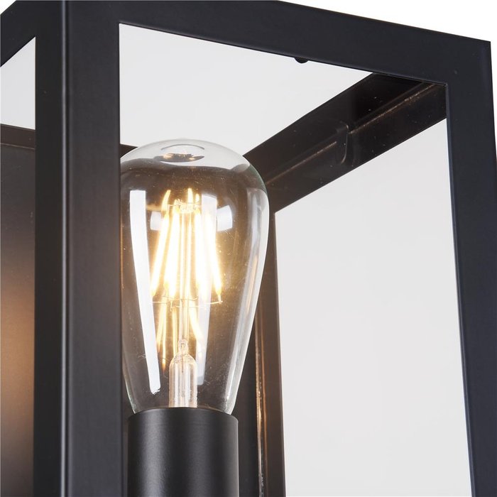 Настенный светильник Maytoni Delphi  - купить Бра и настенные светильники по цене 3970.0