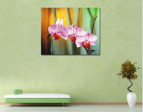 Декоративная картина: Великолепие орхидеи