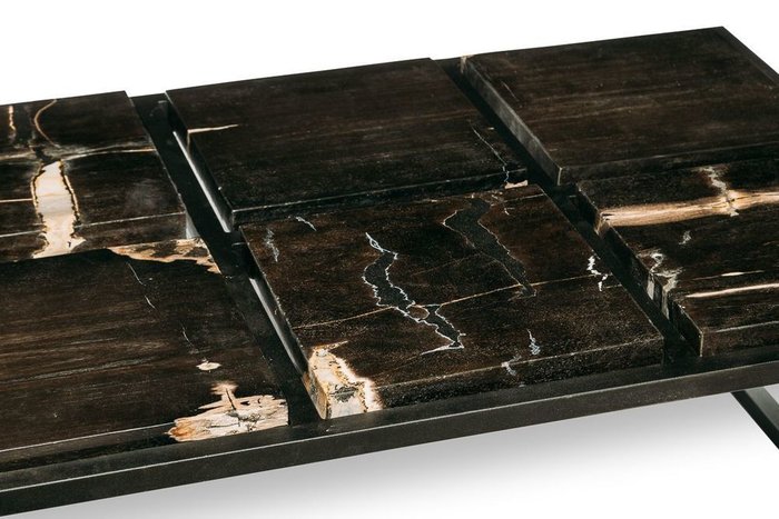 Журнальный стол Таланго из окаменелого дерева 25 - купить Журнальные столики по цене 128000.0