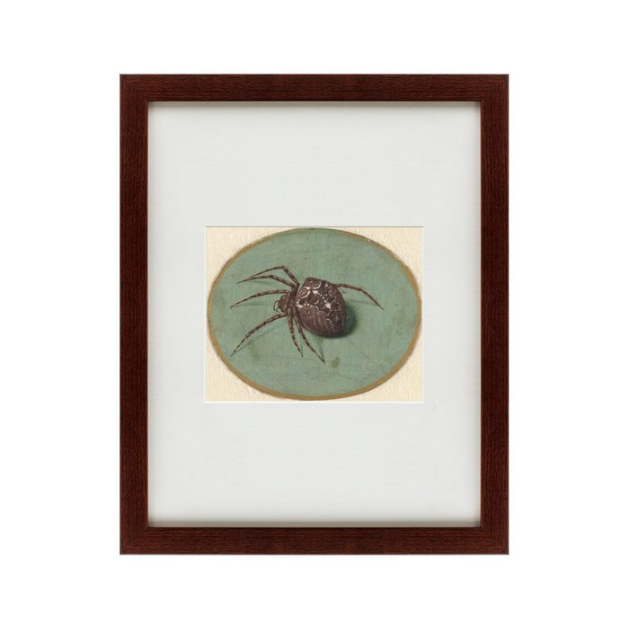 Картина Spider 1690 г.  - купить Картины по цене 4990.0