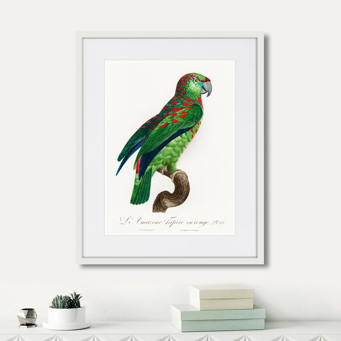 Набор из четырех картин Beautiful parrots  - купить Картины по цене 15980.0