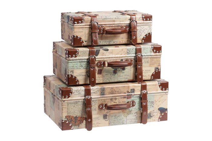 Кейс для хранения Darwin Grande - купить Декоративные коробки по цене 10000.0
