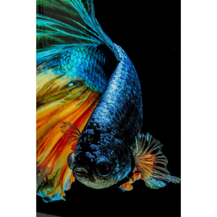 Картина Fish 100х100 черно-синего цвета  - лучшие Принты в INMYROOM