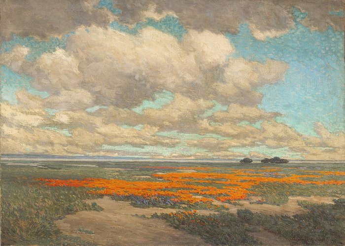 Репродукция картины на холсте A Field of California Poppies