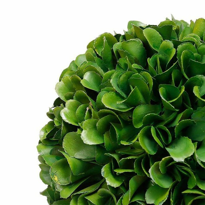 Шар декоративный Самшит 13 зеленого цвета - купить Декоративные цветы по цене 1746.0