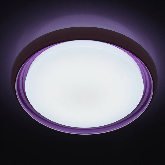 Потолочный светодиодный светильник с пультом ДУ "Ривз" MW-Light - лучшие Потолочные светильники в INMYROOM