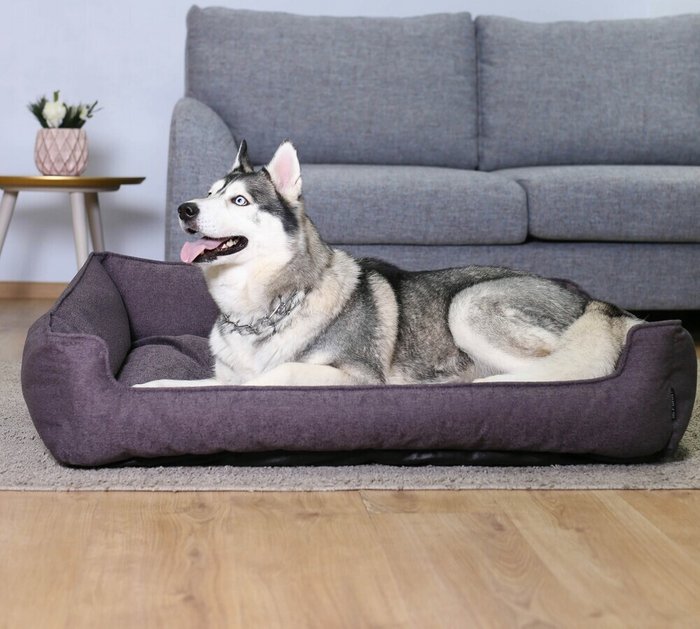 Лежанка прямоугольная для животных 90х60 фиолетового цвета - лучшие Мебель для домашних питомцев в INMYROOM
