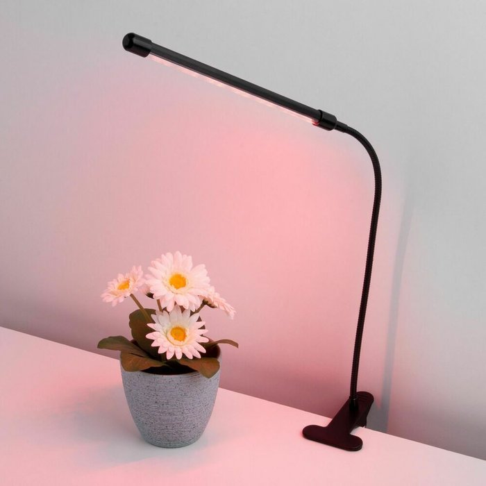 Светильник для растений на прищепке 8 Вт FT-004 чёрный Fito - купить Подвесные светильники по цене 1560.0