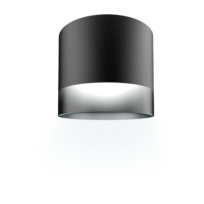 Накладной светильник Arton 59947 0 (алюминий, цвет черный) - купить Накладные споты по цене 795.0