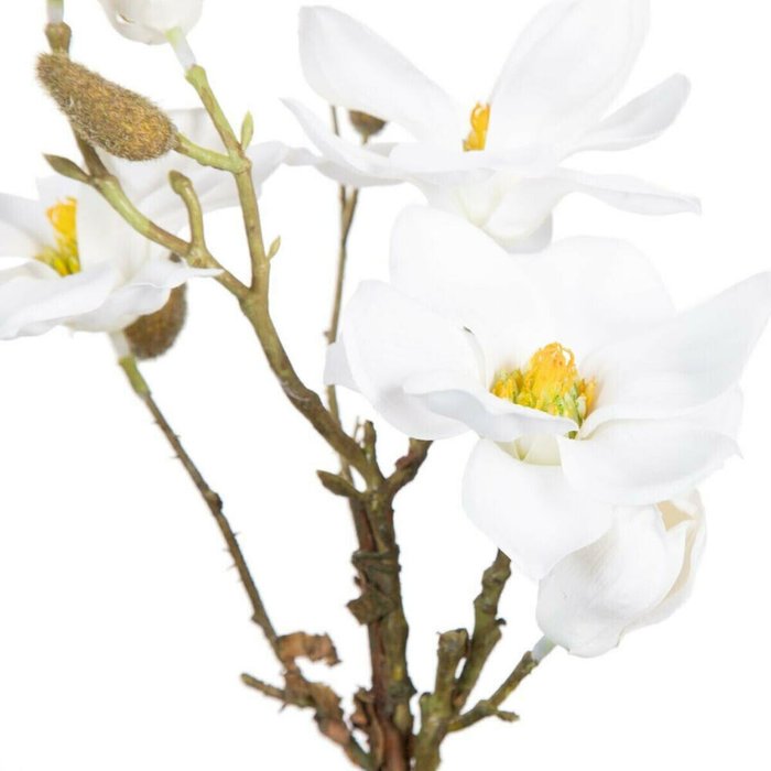 Декоративное растение полиэстер полиэтилен Железо 22 x 22 x 38 cm Magnolia - лучшие Декоративные цветы в INMYROOM