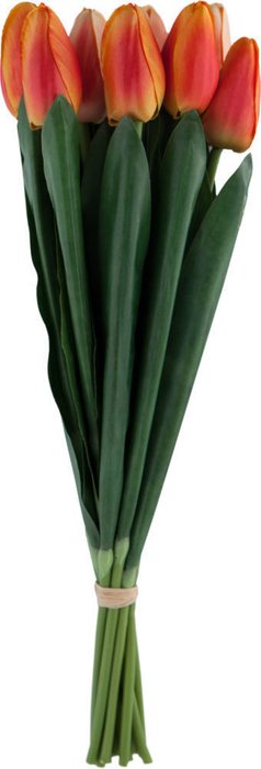 Декор Tulip Bundle 