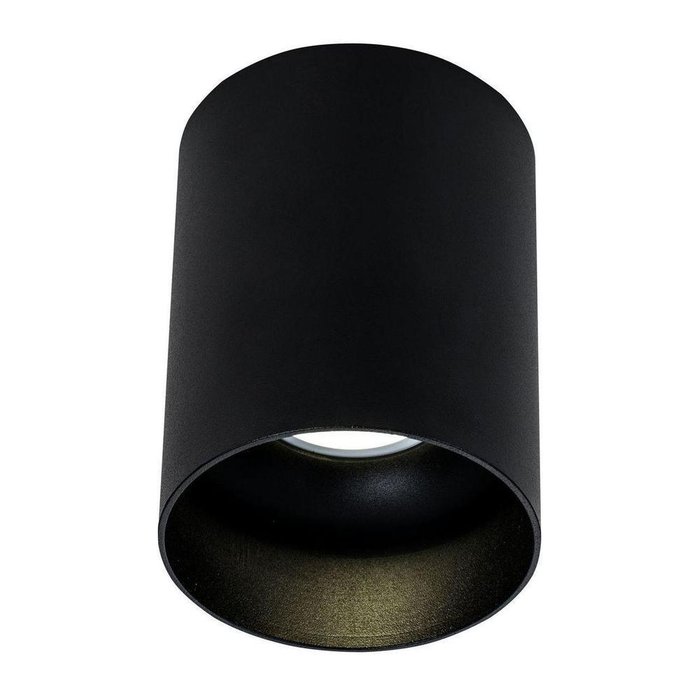 Потолочный светильник Alfa черного цвета - купить Потолочные светильники по цене 1700.0