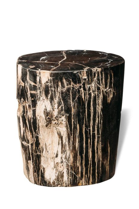 Декоративный пенек Джемур из окаменелого дерева 383406 - купить Консоли по цене 90640.0