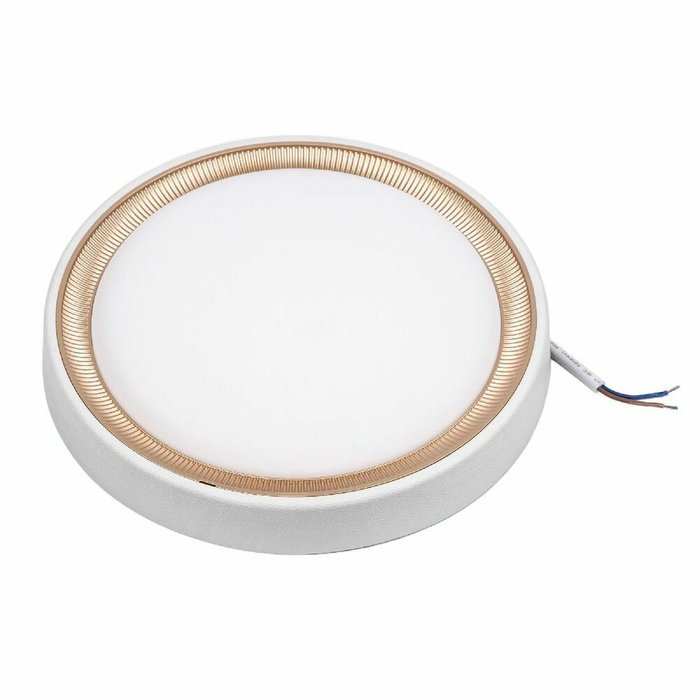 Накладной светильник ULW-Q281 24W/6500K/F20 IP65 WHITE (пластик, цвет белый) - купить Потолочные светильники по цене 1078.0 Накладной светильник ULW-Q281 24W/6500K/F20 IP65 WHITE (пластик, цвет белый) - купить Потолочные светильники по цене 1078.0