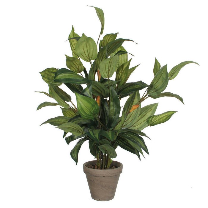 Декоративное растение Hosta Зеленый PVC (15,5 x 65 cm)