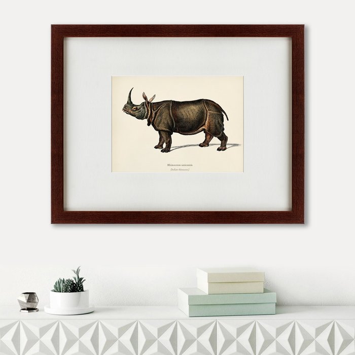 Картина Rhinoceros ancienne gravure 1849 г.