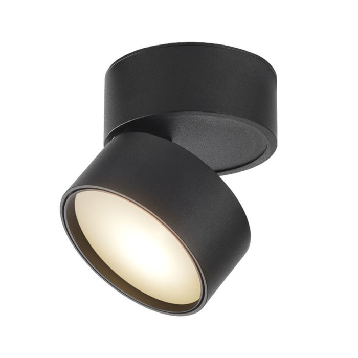 Потолочный светильник Technical черного цвета - лучшие Потолочные светильники в INMYROOM