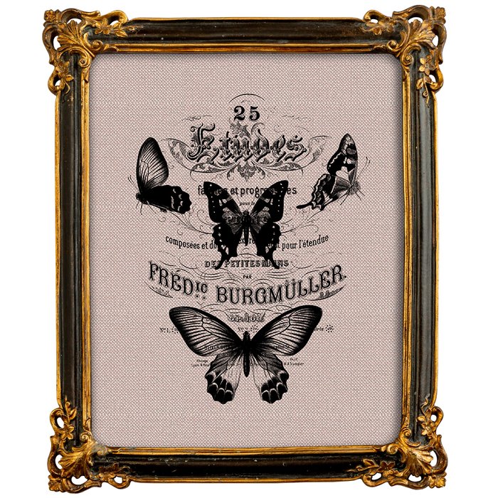 Репродукция ретро-гравюры Butterfly Dance в раме Селин Репродукция ретро-гравюры Butterfly Dance в раме Селин