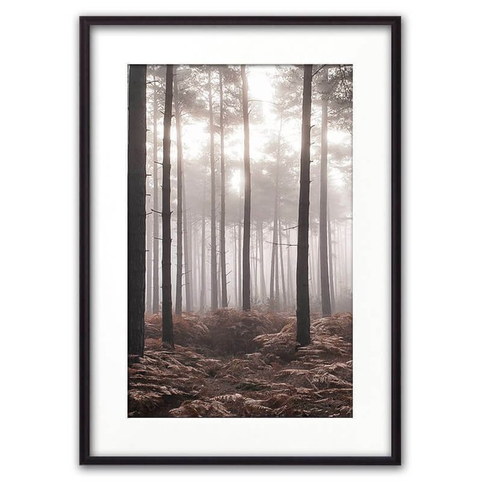 Постер в рамке Туманный лес 21х30 см