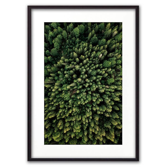 Постер в рамке Зеленый лес с высоты 21х30 см