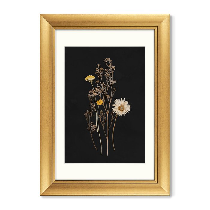 Набор из 3-х репродукций картин в раме Flower herbarium, No1 - лучшие Картины в INMYROOM