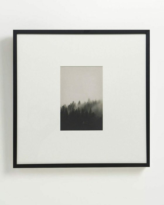 Интерьерный постер Foggy forest 70х70 серо-черного цвета - лучшие Принты в INMYROOM Интерьерный постер Foggy forest 70х70 серо-черного цвета - лучшие Принты в INMYROOM