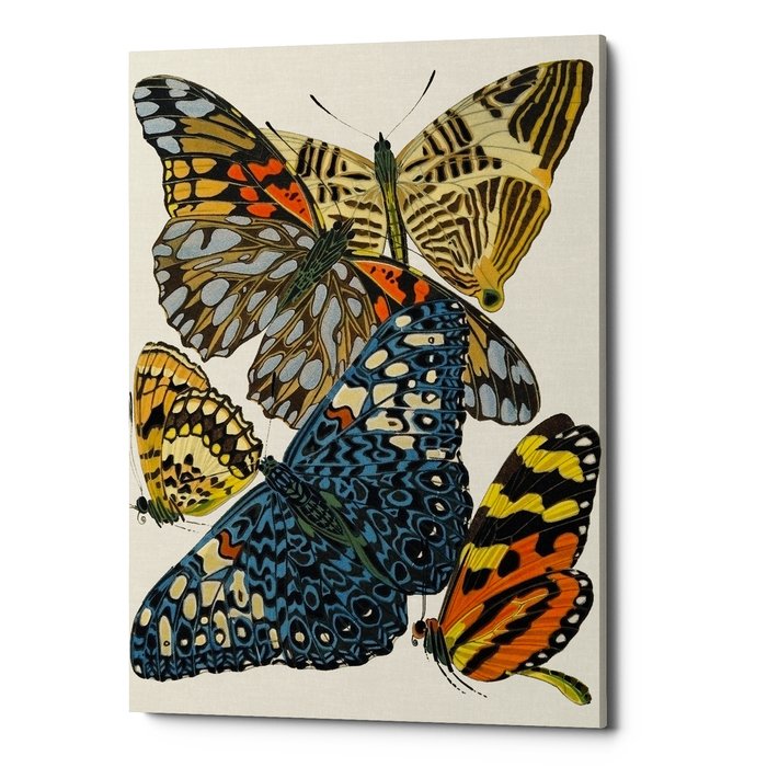 Картина Бабочки мира, версия 17