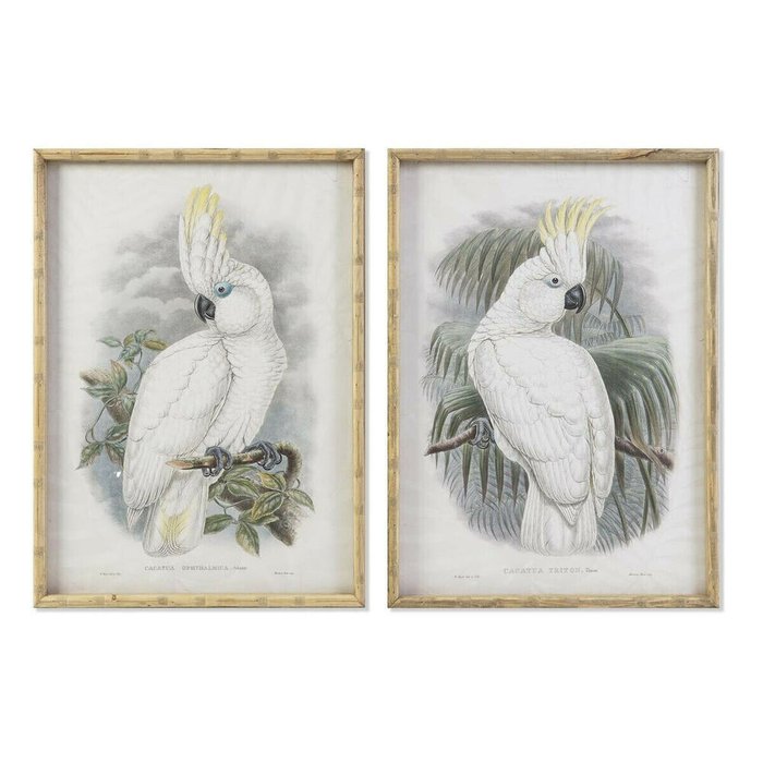 Картина 50 x 2,8 x 70 cm Колониальный Попугай (2 штук)