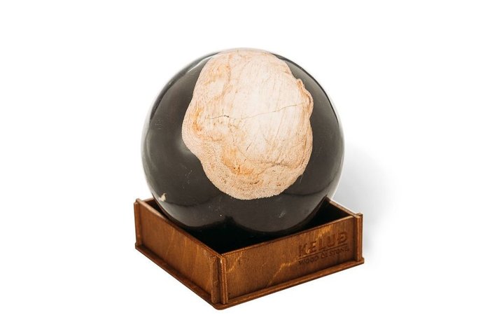 Декоративный шар из окаменелого дерева 383688 - купить Фигуры и статуэтки по цене 5150.0