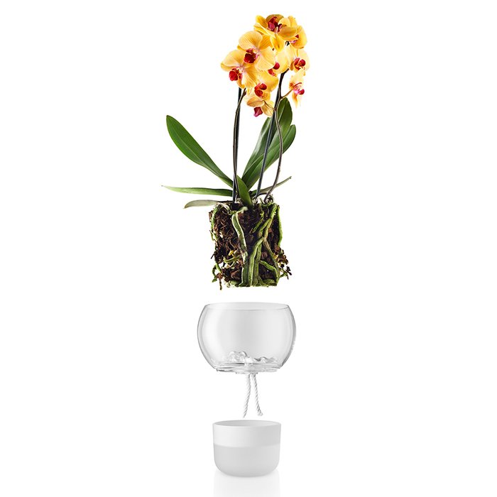 Горшок для орхидеи с функцией самополива 15 см белый - купить Кашпо и горшки по цене 4290.0