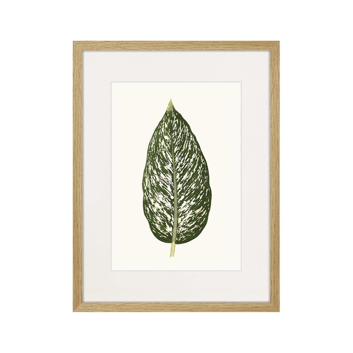 Копия старинной литографии Single leaf of a plant №1 1865 г. - купить Картины по цене 2995.0